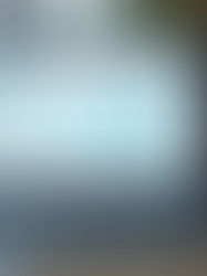 Effective SEO Options for Small Businesses