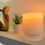 Thumbnail: Frangipani