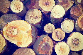 Feu de bois
