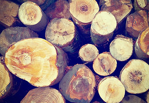 Fire Wood