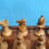 Thumbnail: Folding chessboard with pieces and drafts