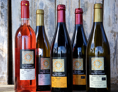 Quoins Vineyard - Sept 2018 118.jpg