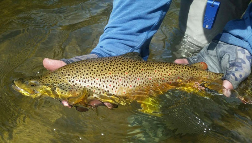 Photo of a fisherman holding a caught fish