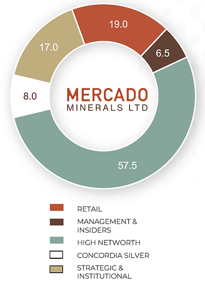 Pie chart of Mercado Minerals' capitalization