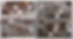 Figure 3 – Drill Core COP-26-001 from 43.60 m to 50.10 m