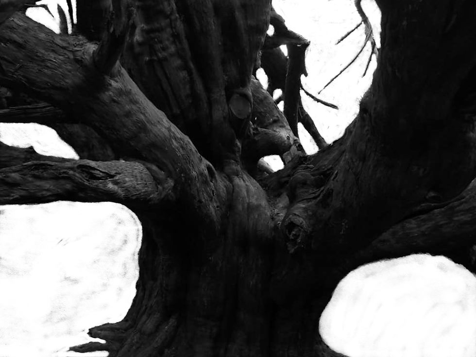 'Unknown'