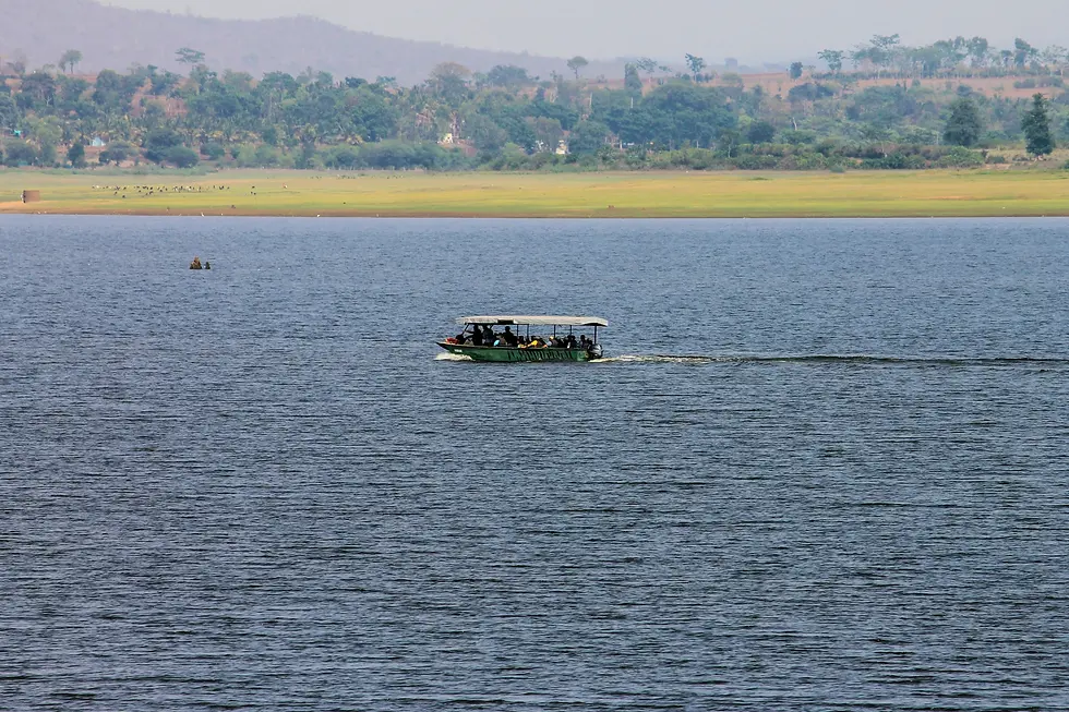 Asian elephant walking through Nagarhole forest near Kabini during morning safari