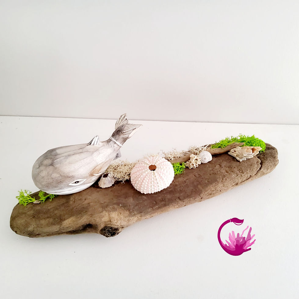 Miniature : Scène Baleine bois flotté