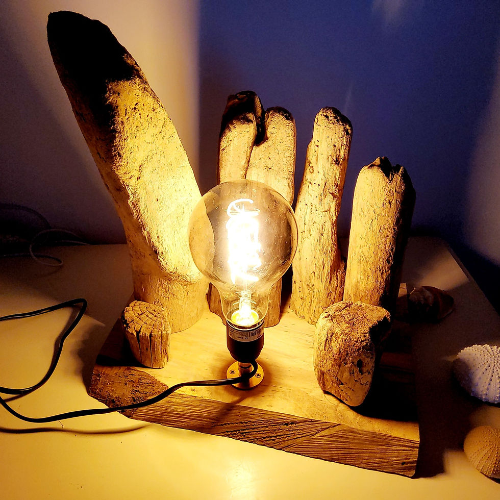 Miniature : Lampe "Brise Lames"