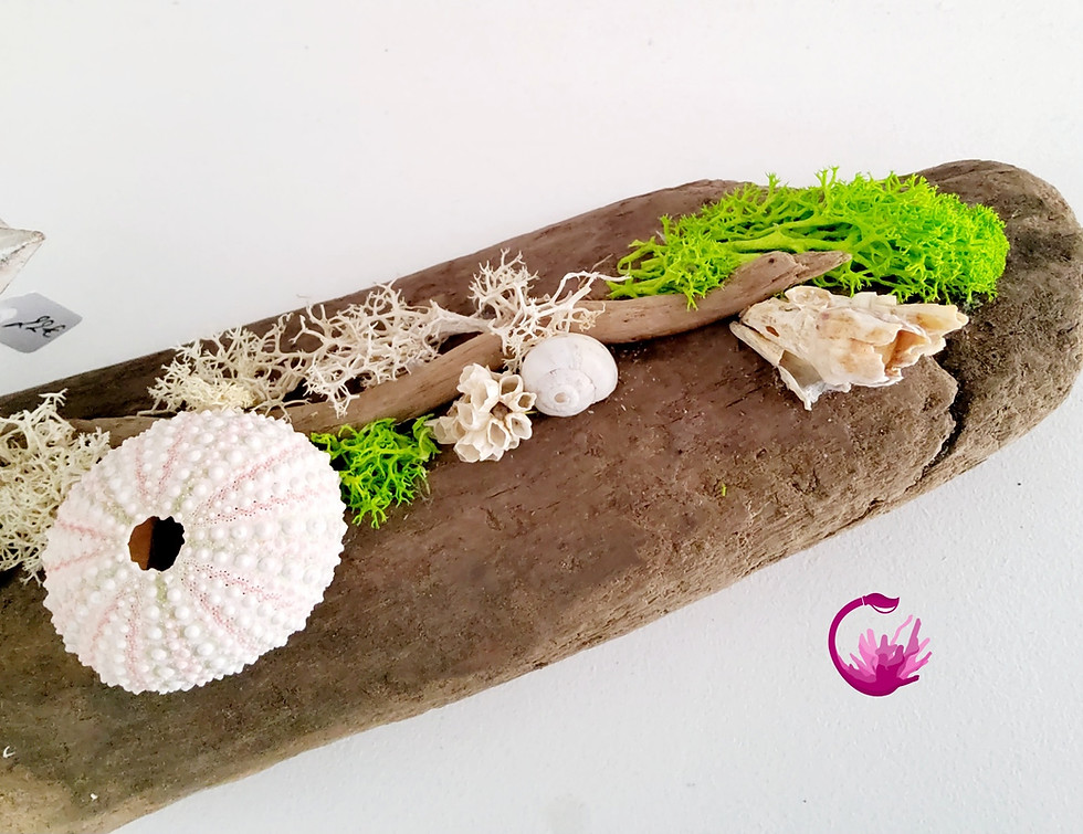 Miniature : Scène Baleine bois flotté