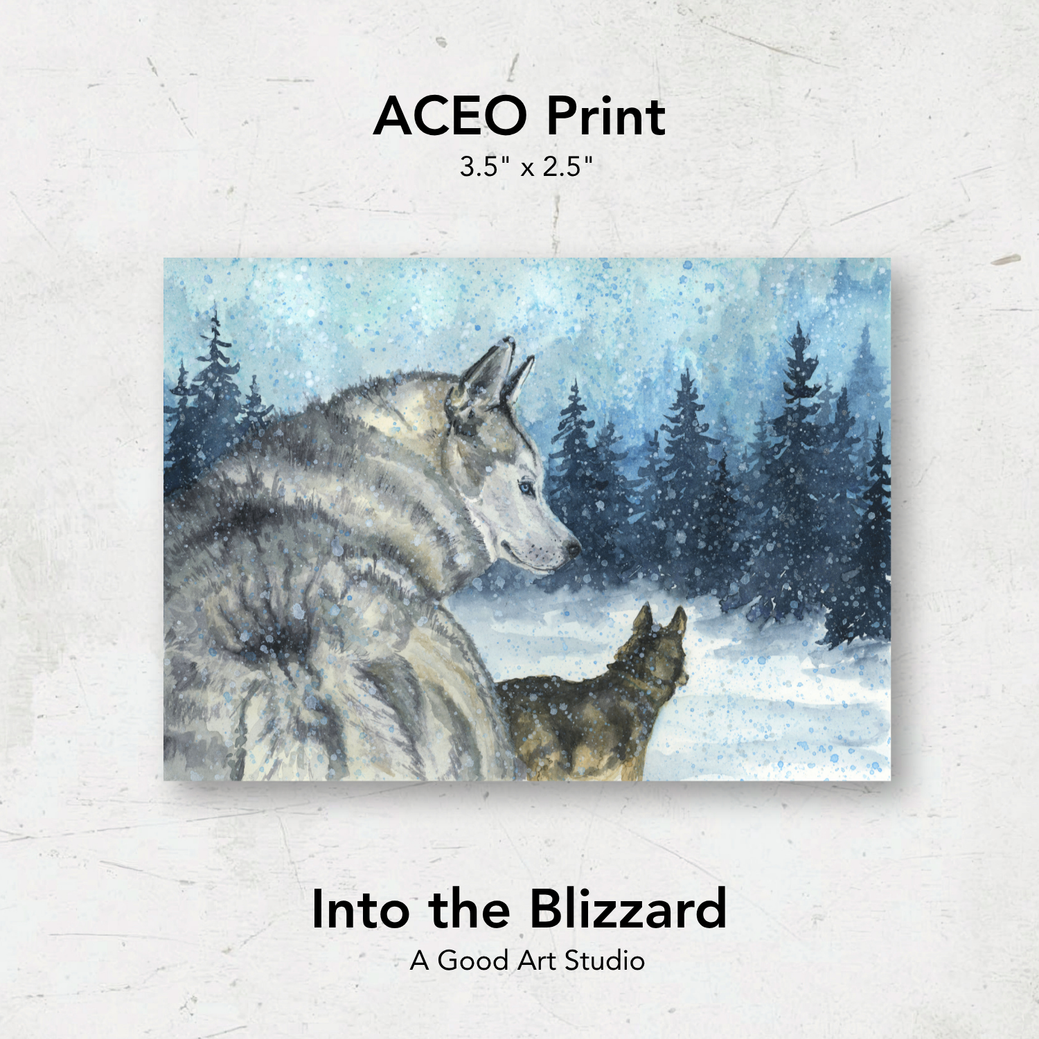 ACEO Print | Into the Blizzard