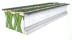 Exterior Hand Rendering