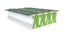 Exterior Hand Rendering