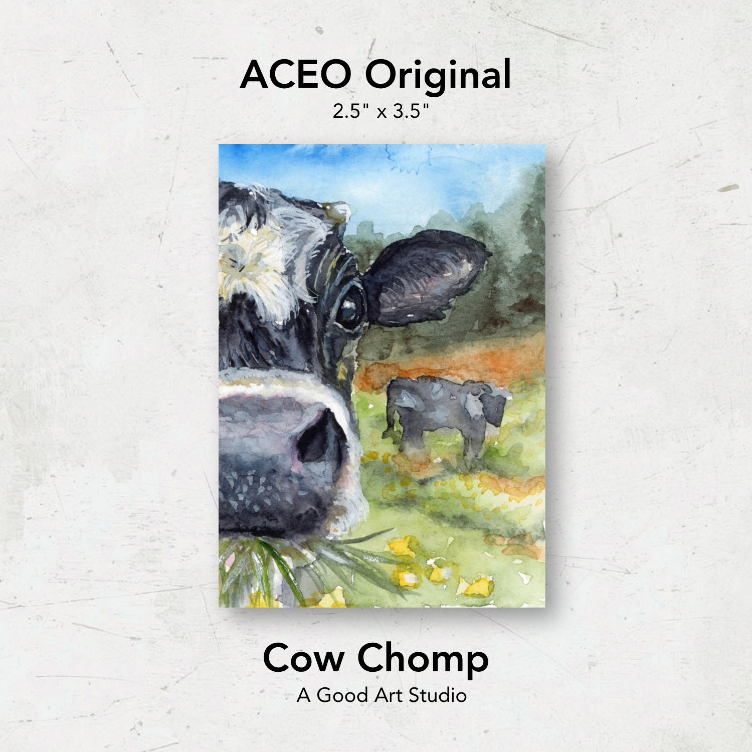 ACEO Original | Cow Chomp