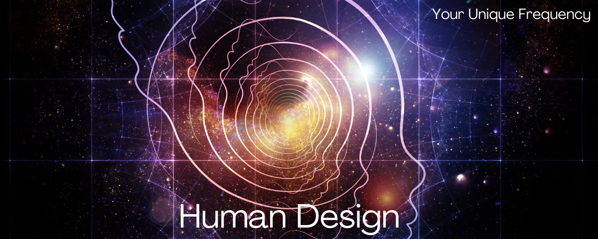 human design system human design system