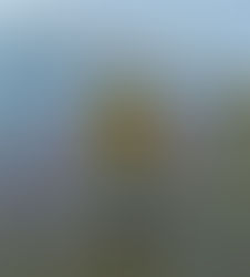 What do you want to come true in 2022?