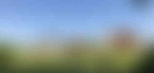 Gardens in estate management kent