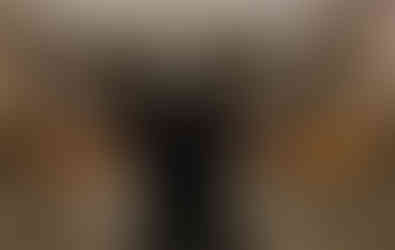 Internal communal areas in block of flats London