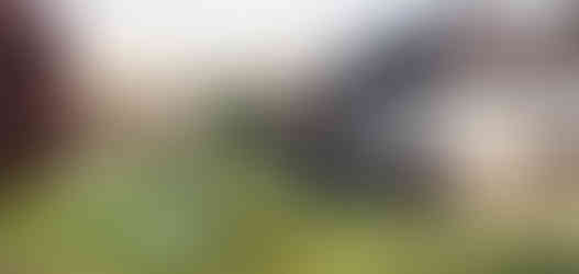 Estate Management with pond