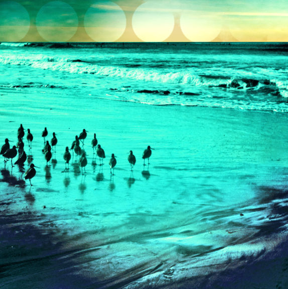 Thumbnail: Sandpiper Sunset