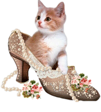 An image of a cat sitting inside a shoe