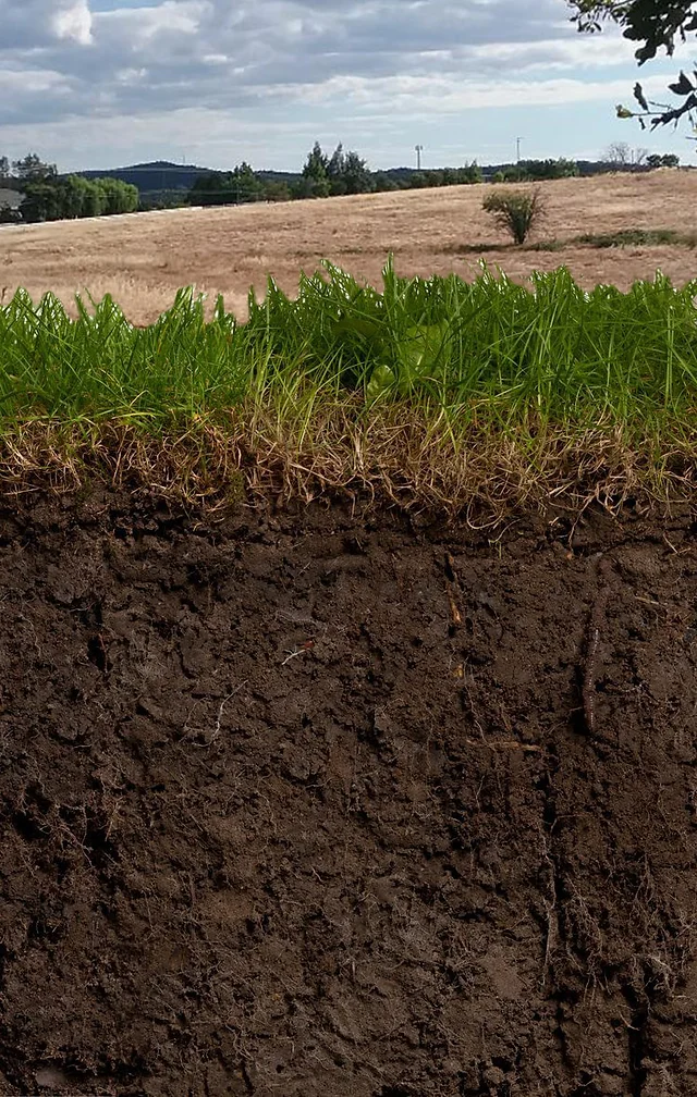 California S Premier Vermiculture Company Sierra Vermifarm