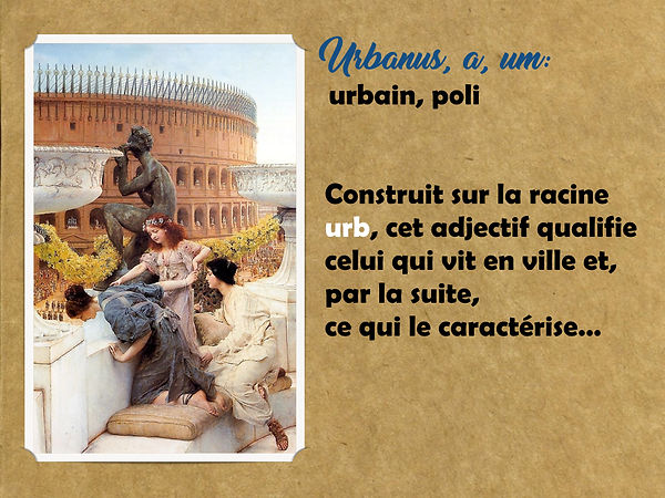Sans titre.002.jpeg