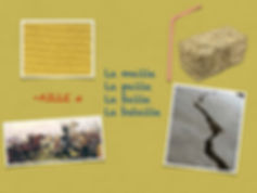Jpeg Modal.008.jpeg