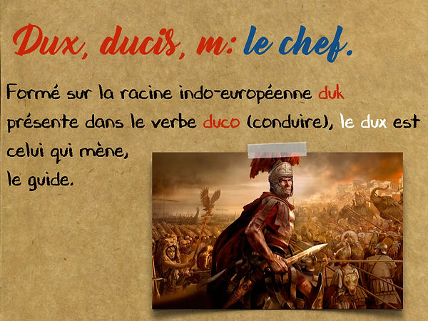 Latin.006.jpeg