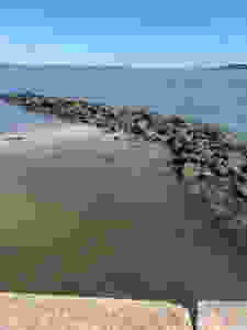 A photograph of the Atlantic Ocean with a rocky jetty extending out into the water. On the right side is deeper water, on the left side is shallow water showing sand. At the very front of the photo is the edge of a brick wall.