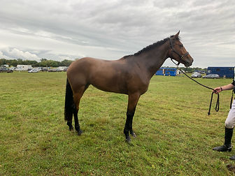 Equitrade image.jpg