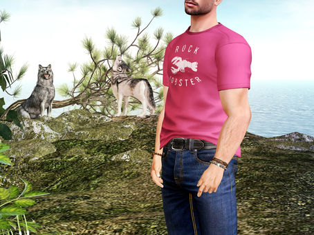 Style 51