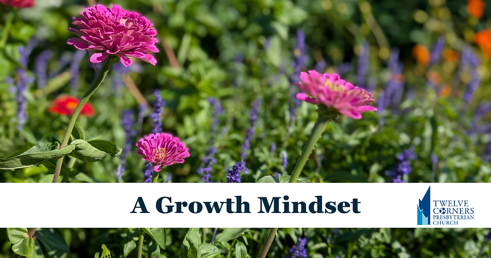 Pink flowers in a garden with blurred greenery and purple blooms grown in the community garden at Twelve Corners Presbyterian Church. The blog title reads, "A Growth Mindset" with the church logo.