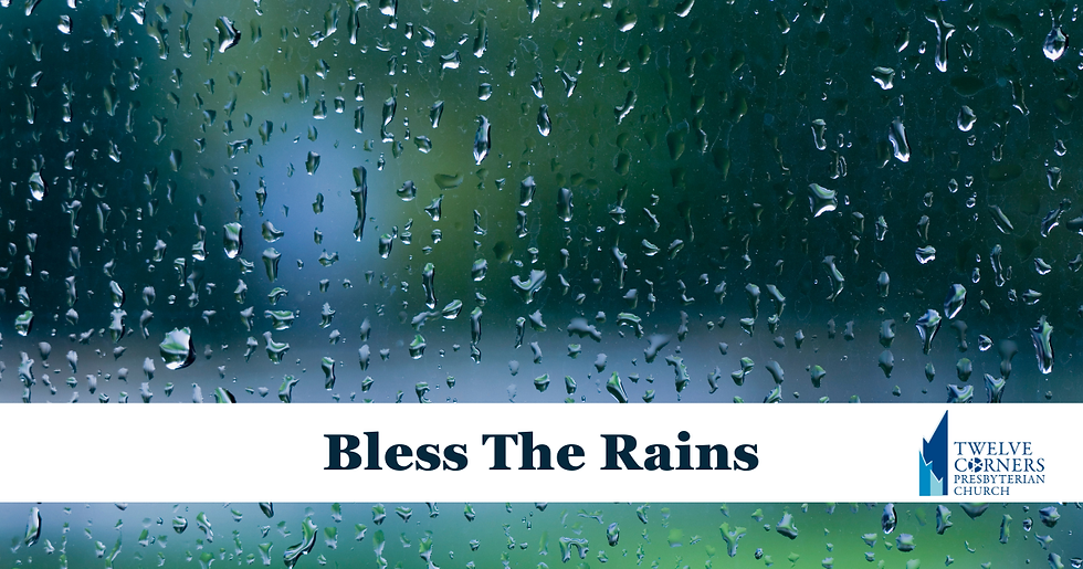 Bless The Rains
