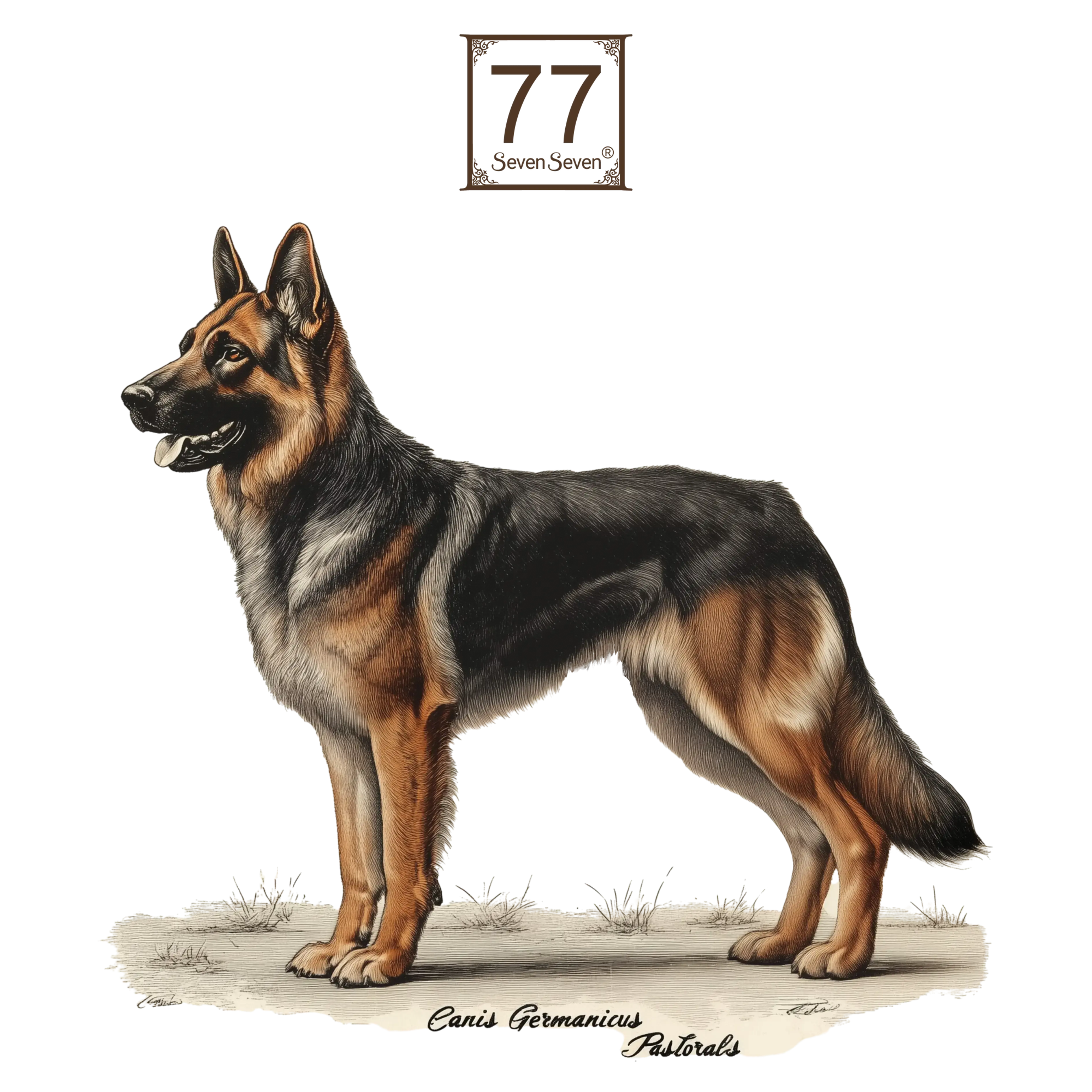 German Shepherd (Canis Germanicus Pastoralis) - cotton canvas tote bag