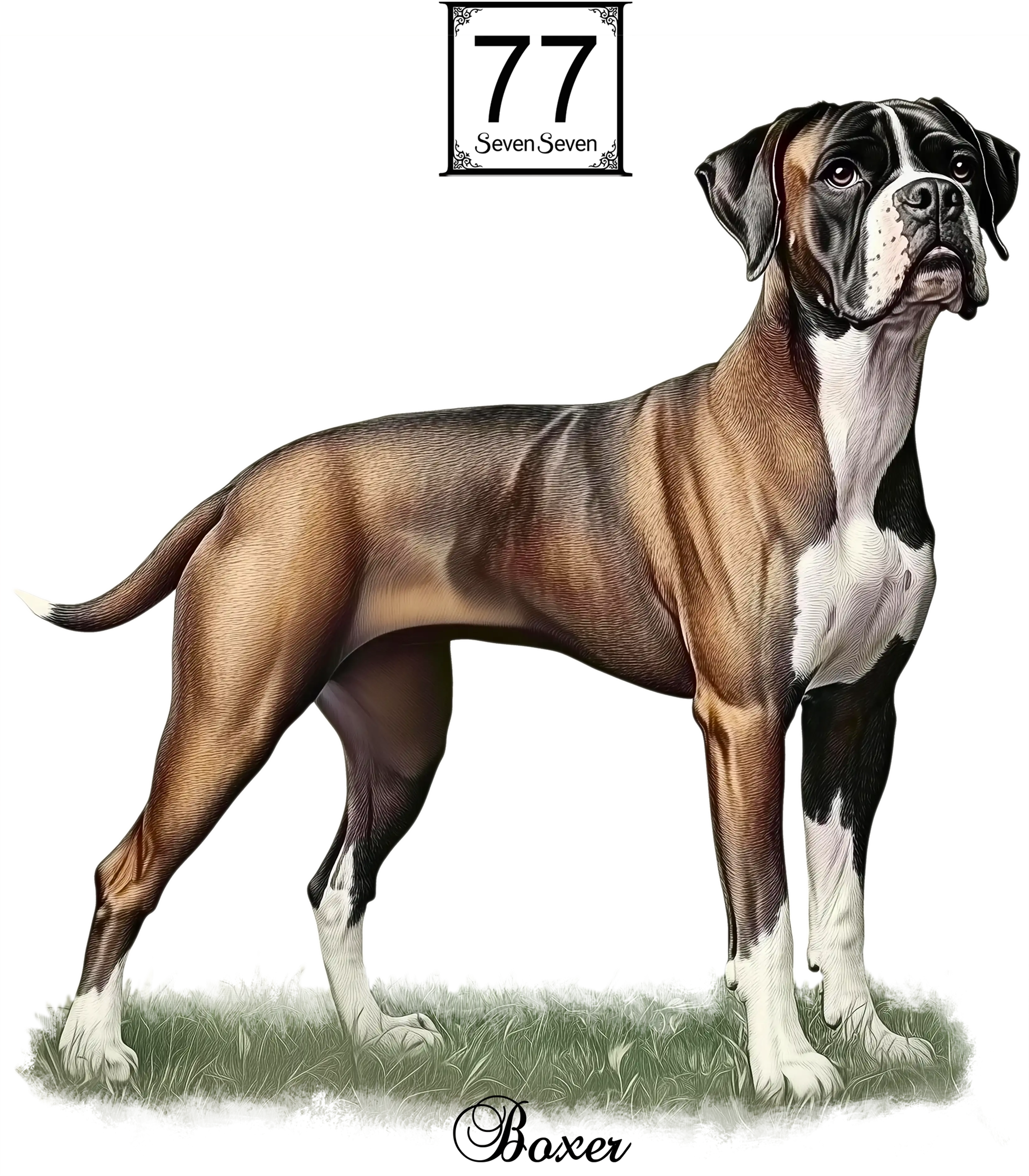 Bokser (Boxer) - bawełniana torba canvas