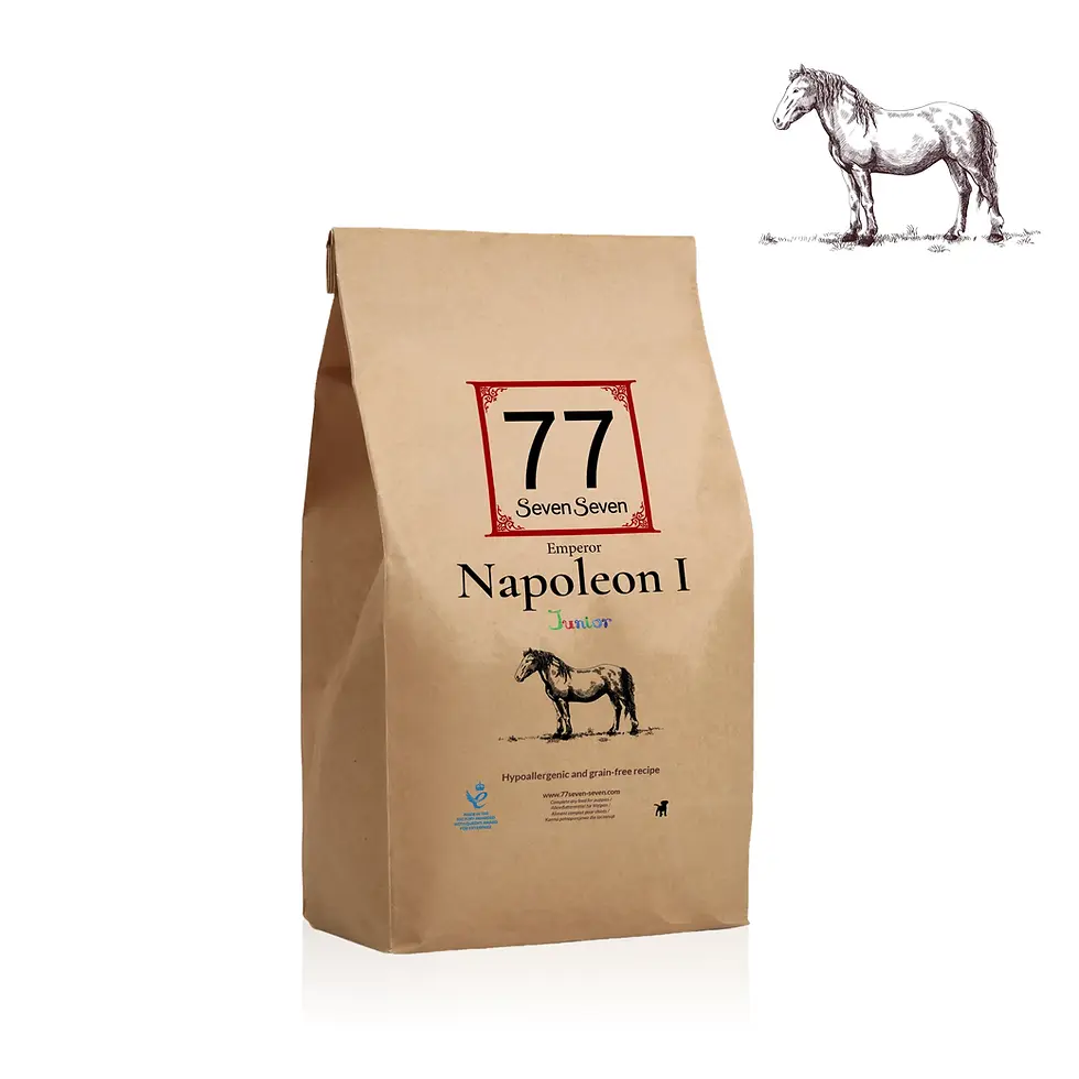 Thumbnail: Junior Napoleon I with horseflesh