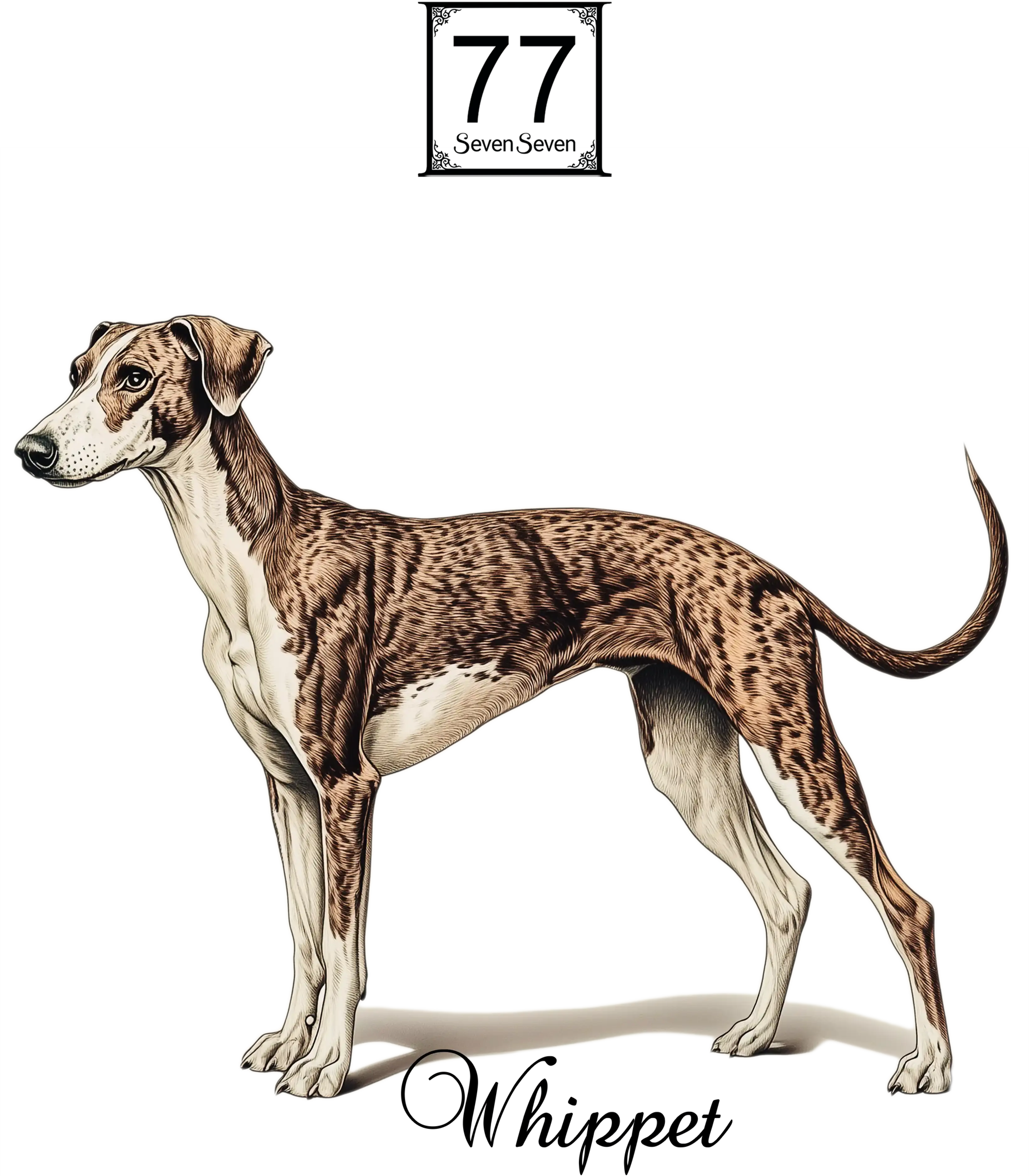 Chart Angielski (Whippet) - bawełniana torba canvas