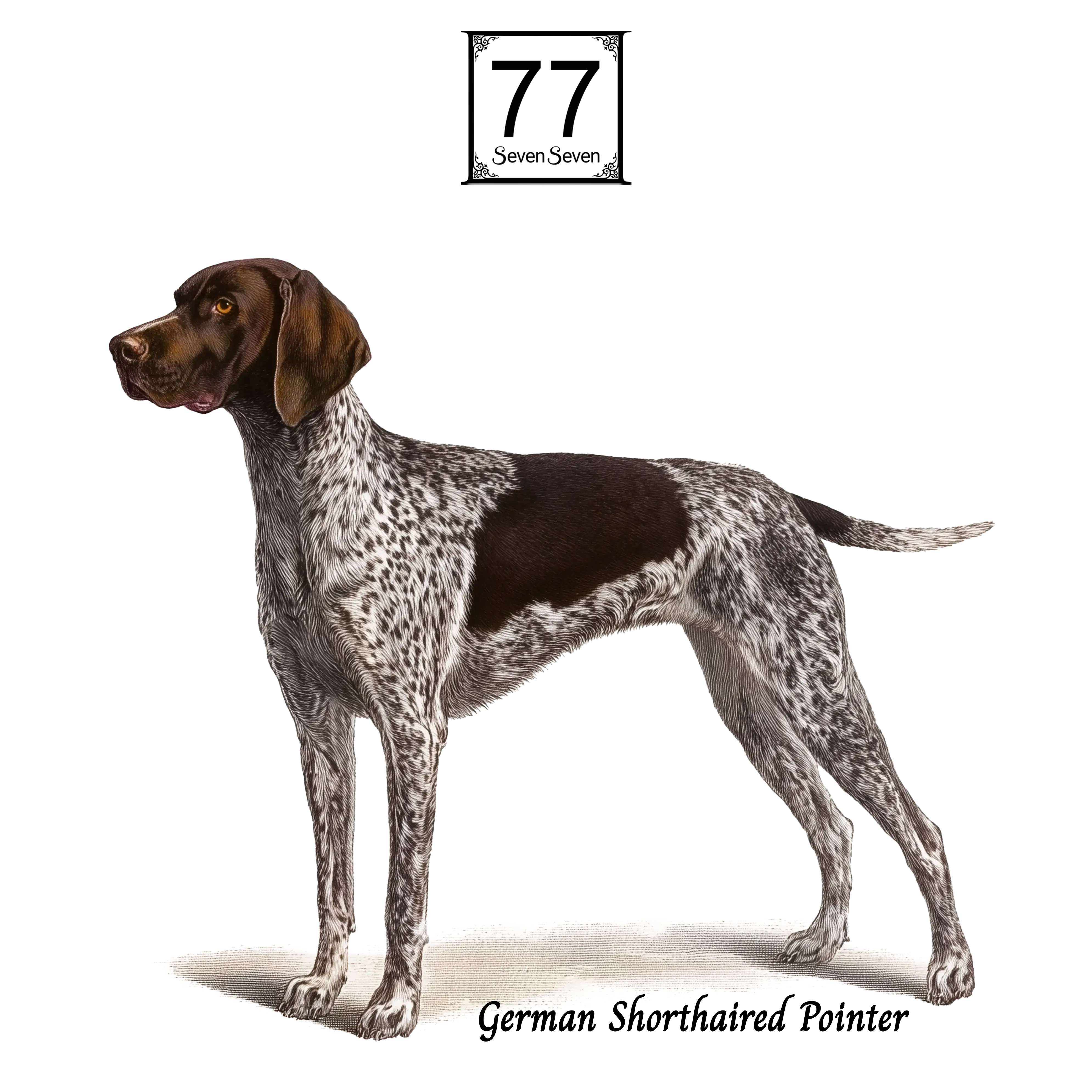 German Shorthaired Pointer - cotton canvas tote bag