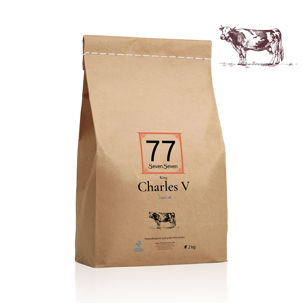 Thumbnail: Junior Charles V with Angus beef