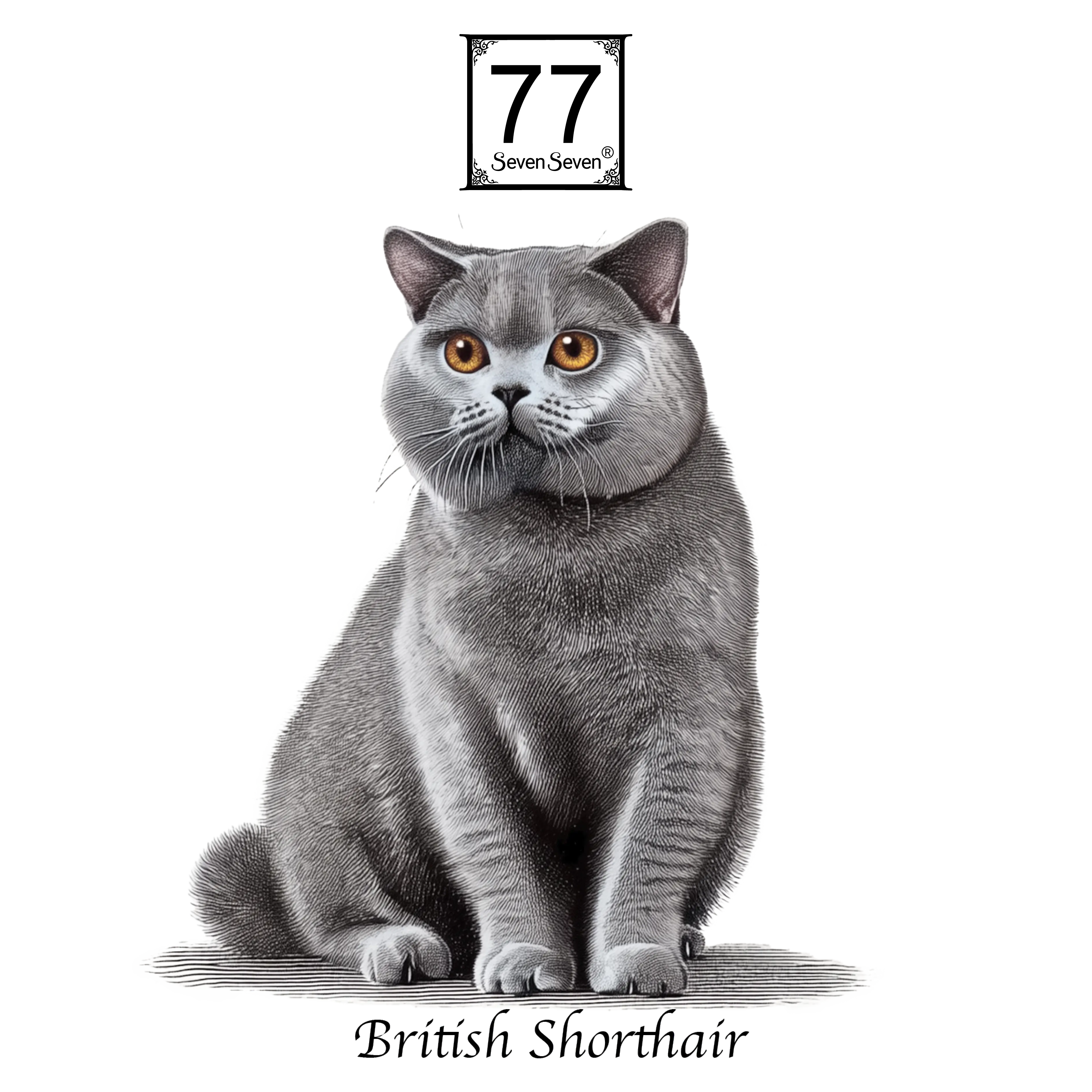 British Shorthair - cotton canvas tote bag