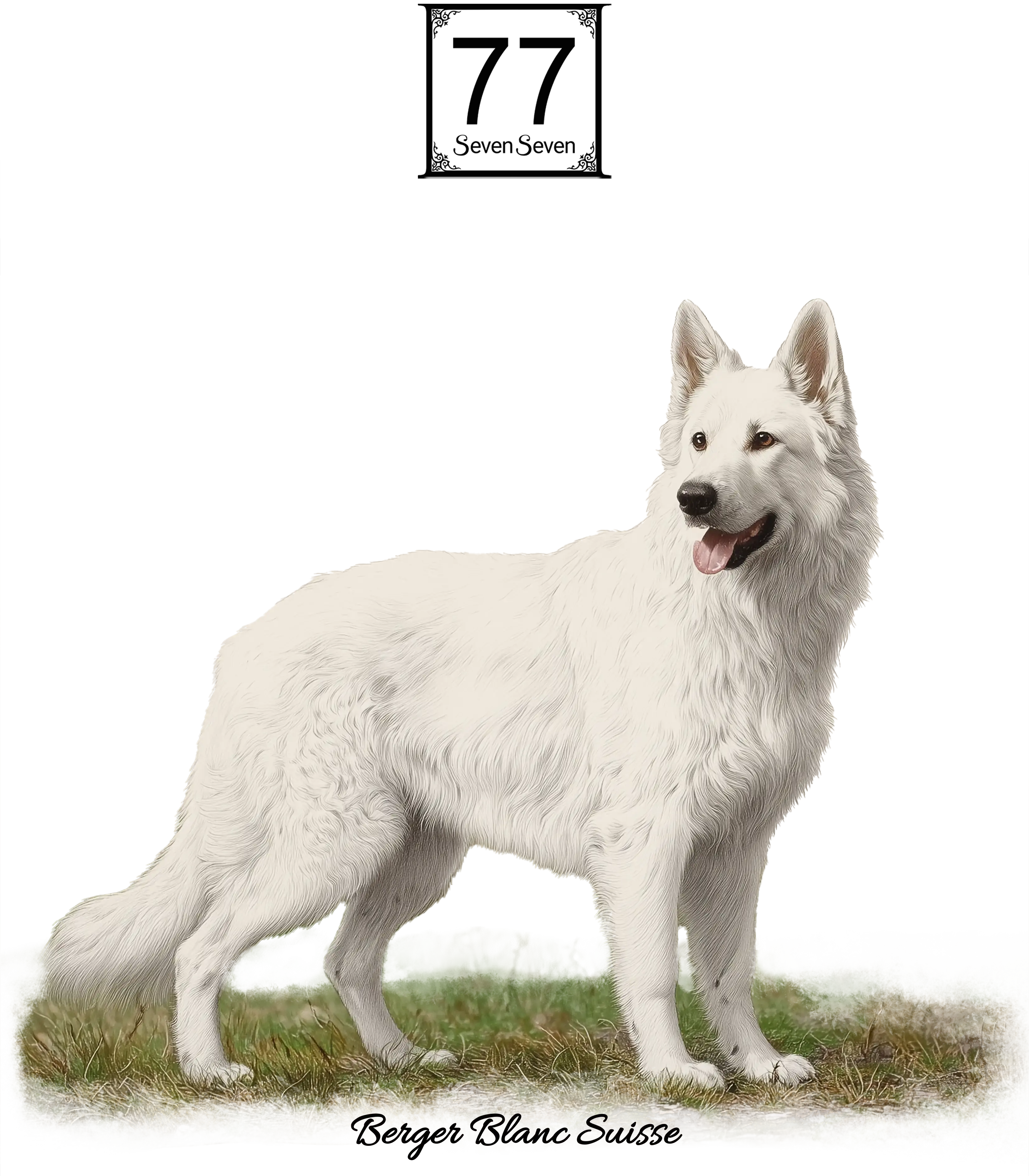 White Swiss Shepherd Dog (Berger Blanc Suisse) - cotton canvas tote bag