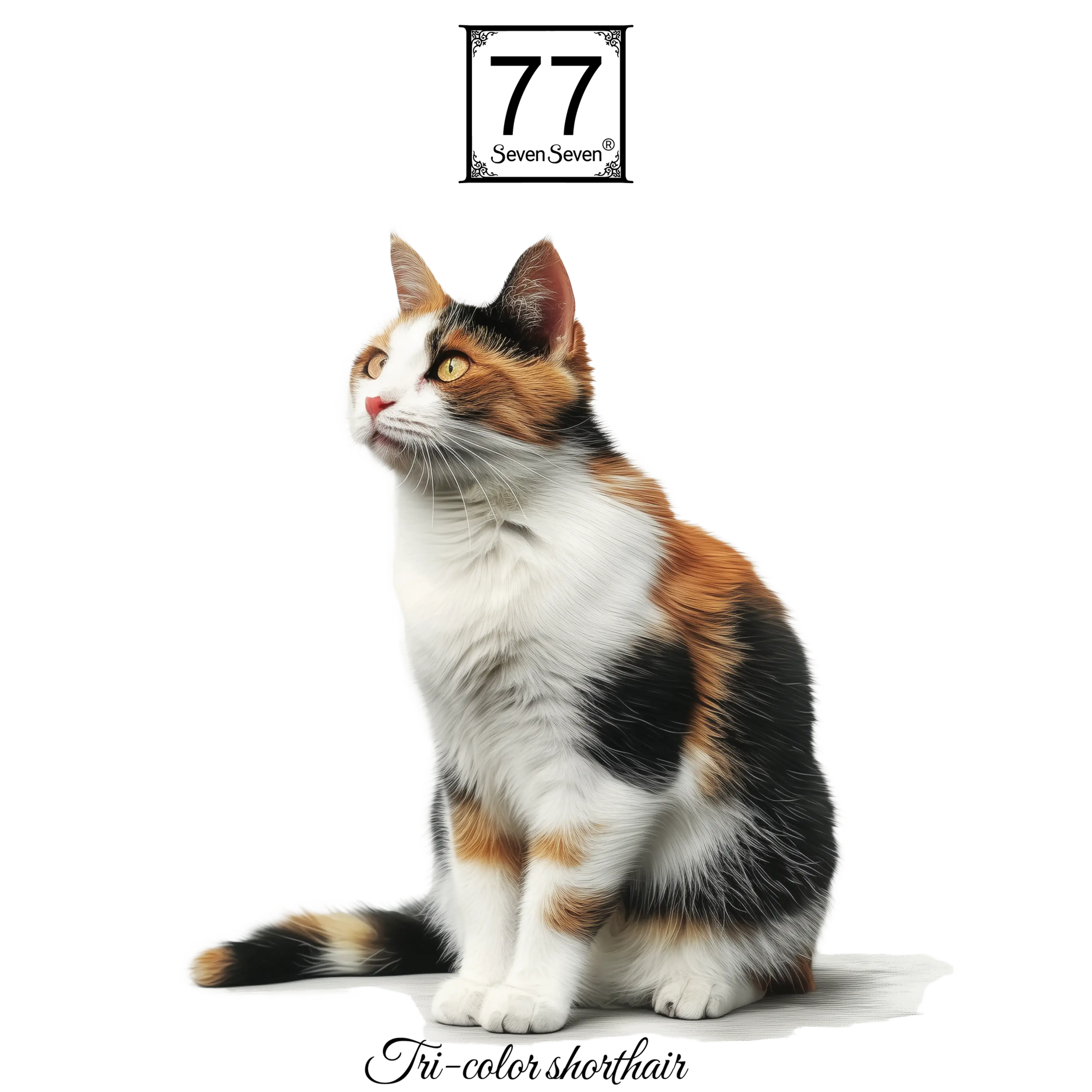 Tri-colour Cat - cotton canvas tote bag