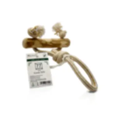 Louis XIV zabawka drzewo kawowe i bawełna