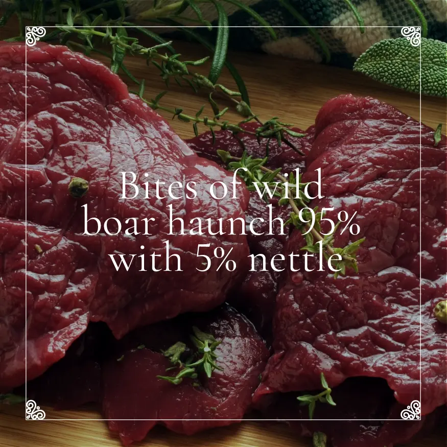 Miniatura: Ivan IV+ Mini Crispy Bites z dzika z pokrzywą