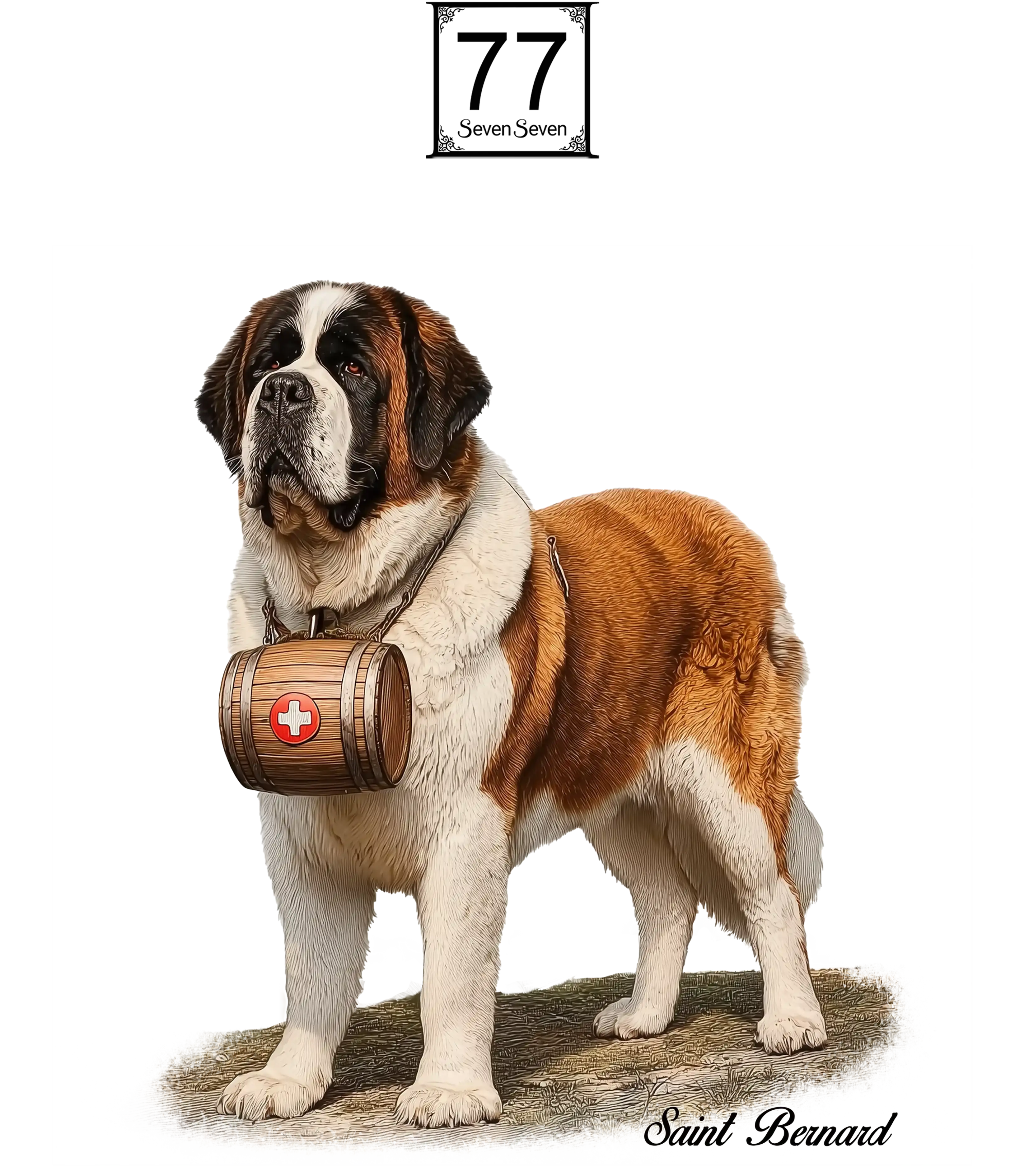 Bernardyn (Saint Bernard) - bawełniana torba canvas