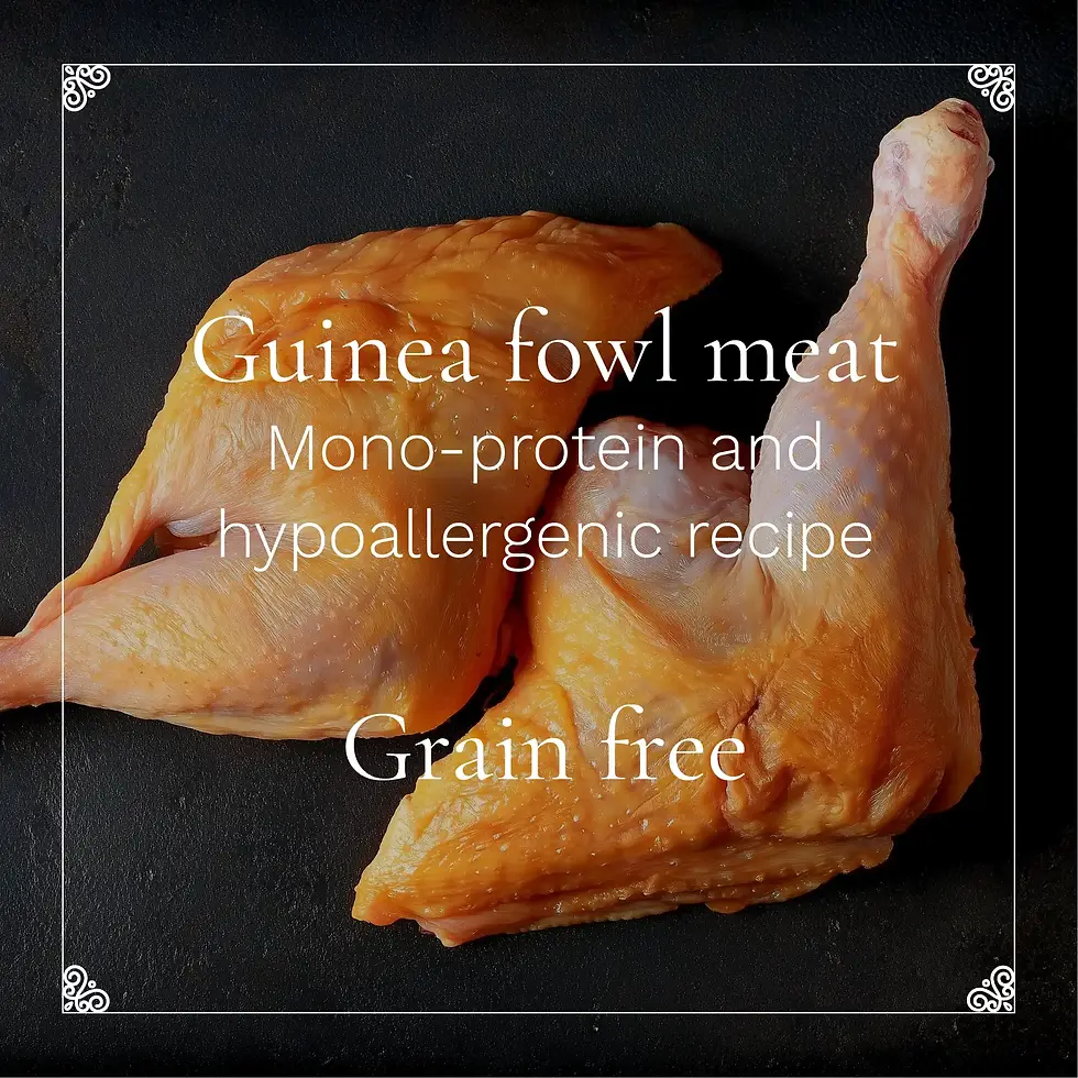 Thumbnail: James I with a guinea fowl