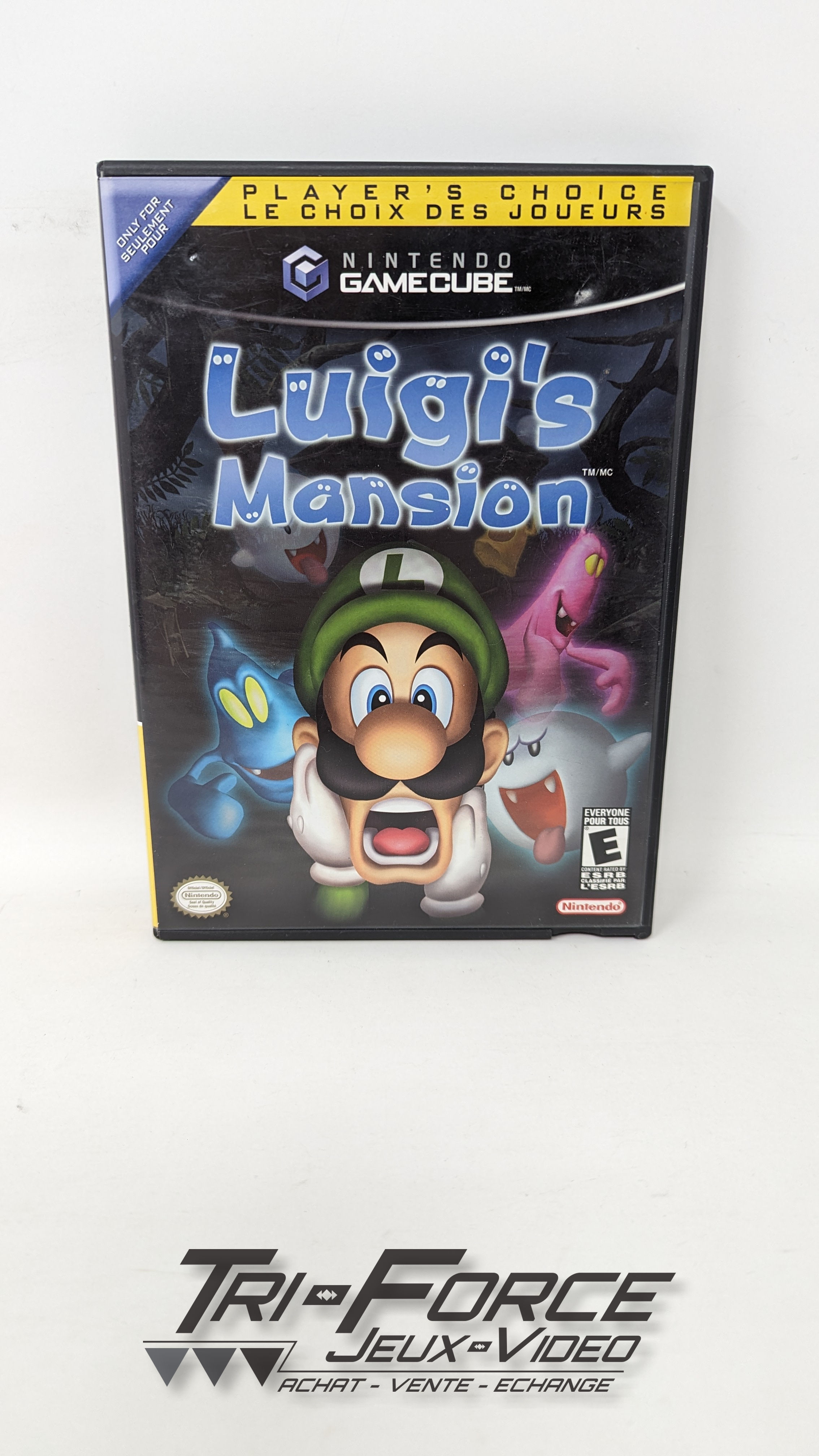 Luigi's Mansion