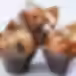 Muffins