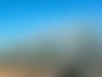 El murciélago y el mezcal, no existe uno sin el otro